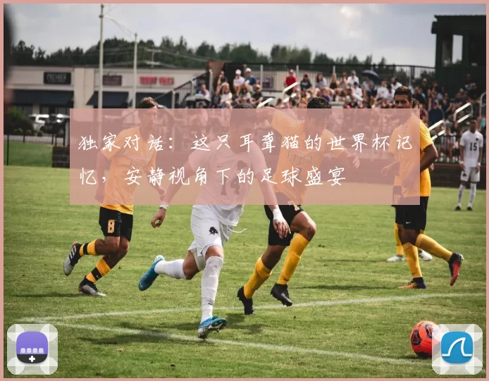 独家对话:这只耳聋猫的世界杯记忆,安静视角下的足球盛宴