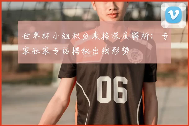 世界杯小组积分表格深度解析:专家独家专访揭秘出线形势