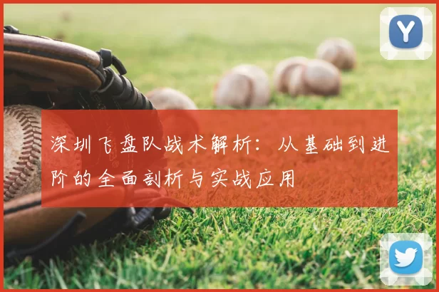 深圳飞盘队战术解析:从基础到进阶的全面剖析与实战应用