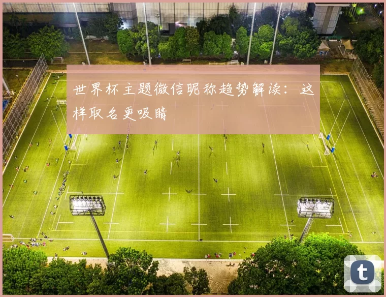 世界杯主题微信昵称趋势解读：这样取名更吸睛