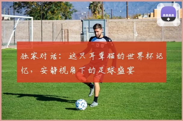 独家对话:这只耳聋猫的世界杯记忆,安静视角下的足球盛宴