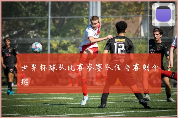 世界杯球队比赛参赛队伍与赛制介绍