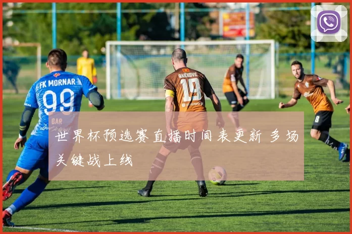 世界杯预选赛直播时间表更新 多场关键战上线