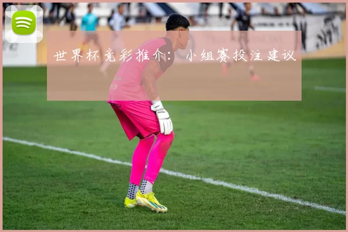 世界杯竞彩推介：小组赛投注建议
