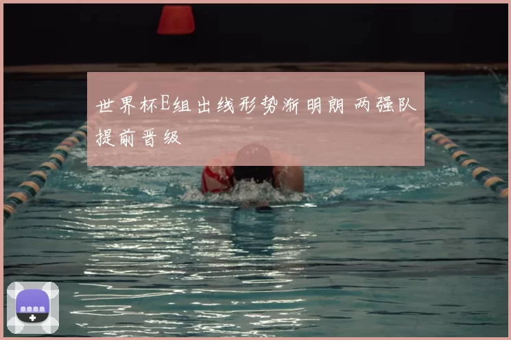 世界杯E组出线形势渐明朗 两强队提前晋级