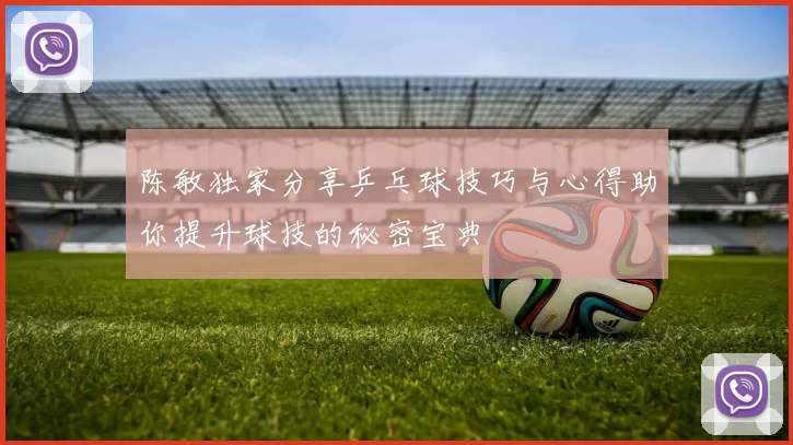 陈敏独家分享乒乓球技巧与心得助你提升球技的秘密宝典