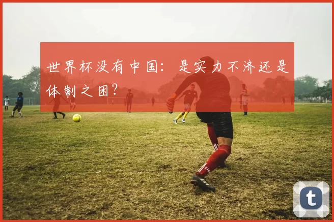 世界杯没有中国：是实力不济还是体制之困？
