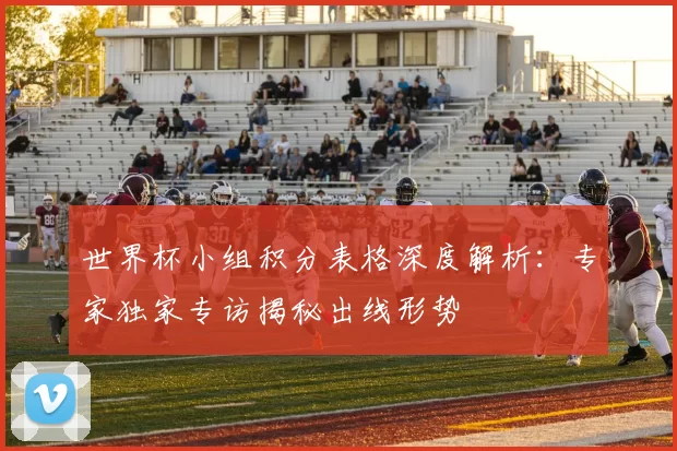 世界杯小组积分表格深度解析：专家独家专访揭秘出线形势