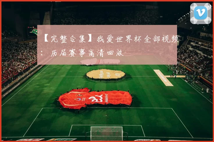 【完整合集】我爱世界杯全部视频：历届赛事高清回放