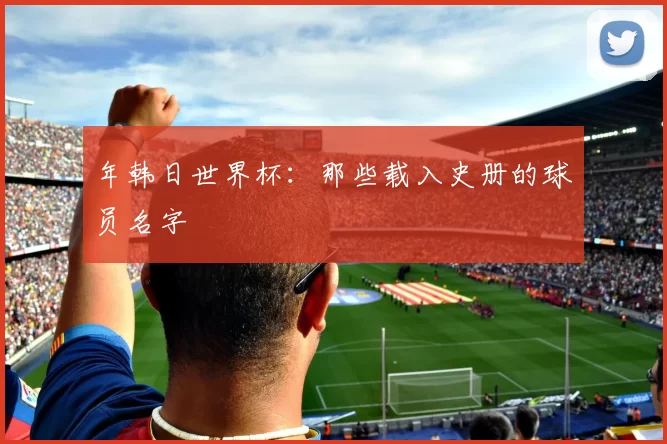 年韩日世界杯：那些载入史册的球员名字