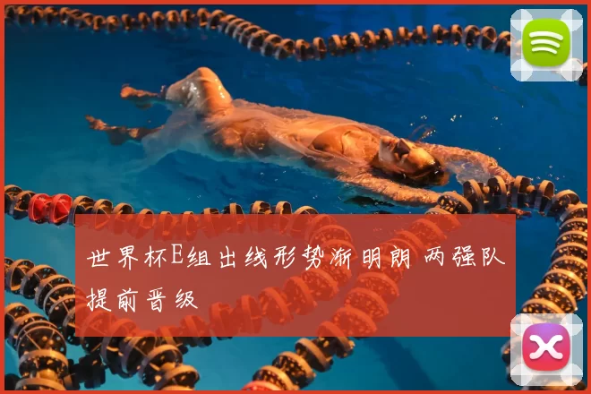 世界杯E组出线形势渐明朗 两强队提前晋级